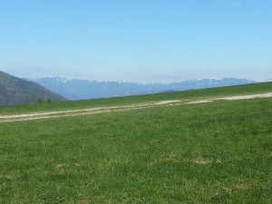 20170421_085142_resized